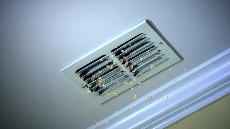 HVAC System Cleaning in Rainier, OR