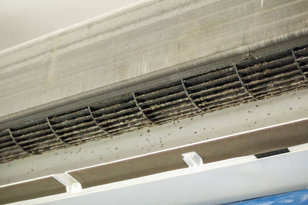 Best Ductwork Cleaning Services  in Rainier, OR